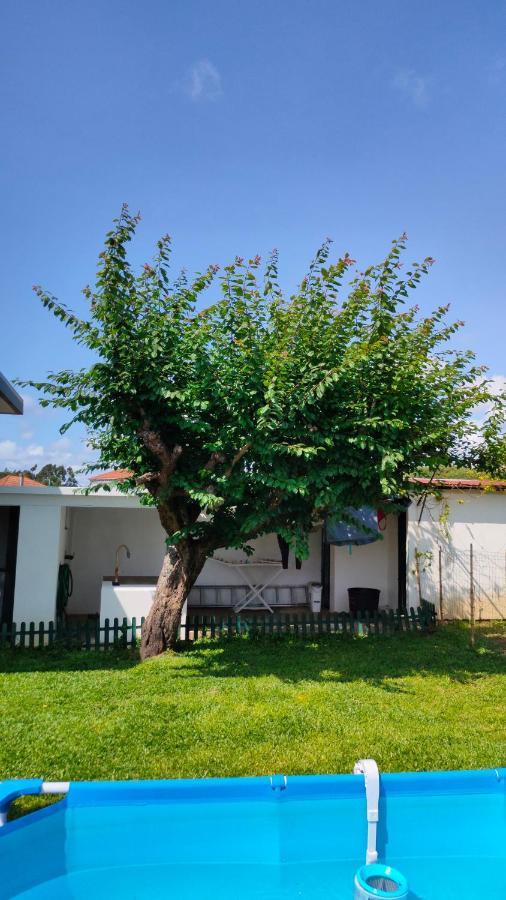 House With Pool And Garden In Esmoriz Near Portoヴィラ エクステリア 写真